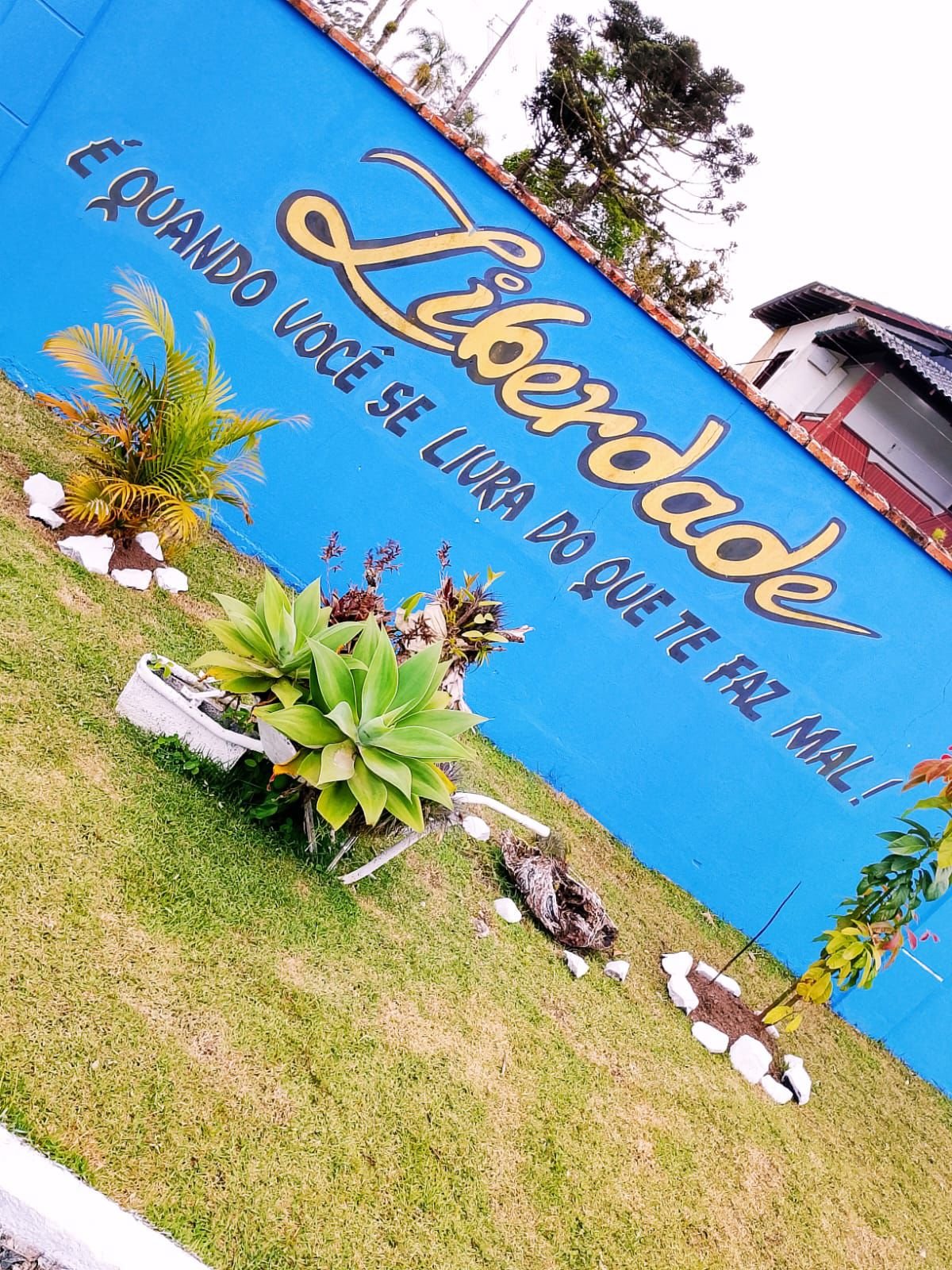 Centro Terapêutico Masculino - Aracuari - Santa Catarina